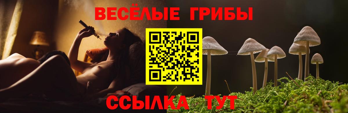 купить наркоту  Вход с VPN  Псилоцибиновые грибы мухоморы  Златоуст  Псилоцибиновые грибы ЛСД 